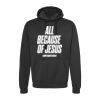 Unisex Fleece Hooded Sweatshirt Thumbnail