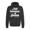 Unisex Fleece Hooded Sweatshirt Thumbnail